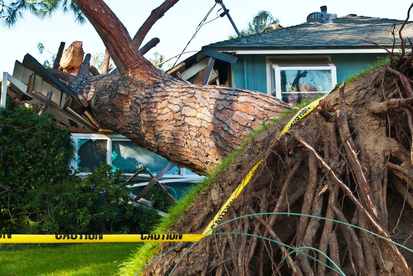 If your roof is damaged by a fallen tree, the thing to do is call the roof replacement experts at Style Roofing.