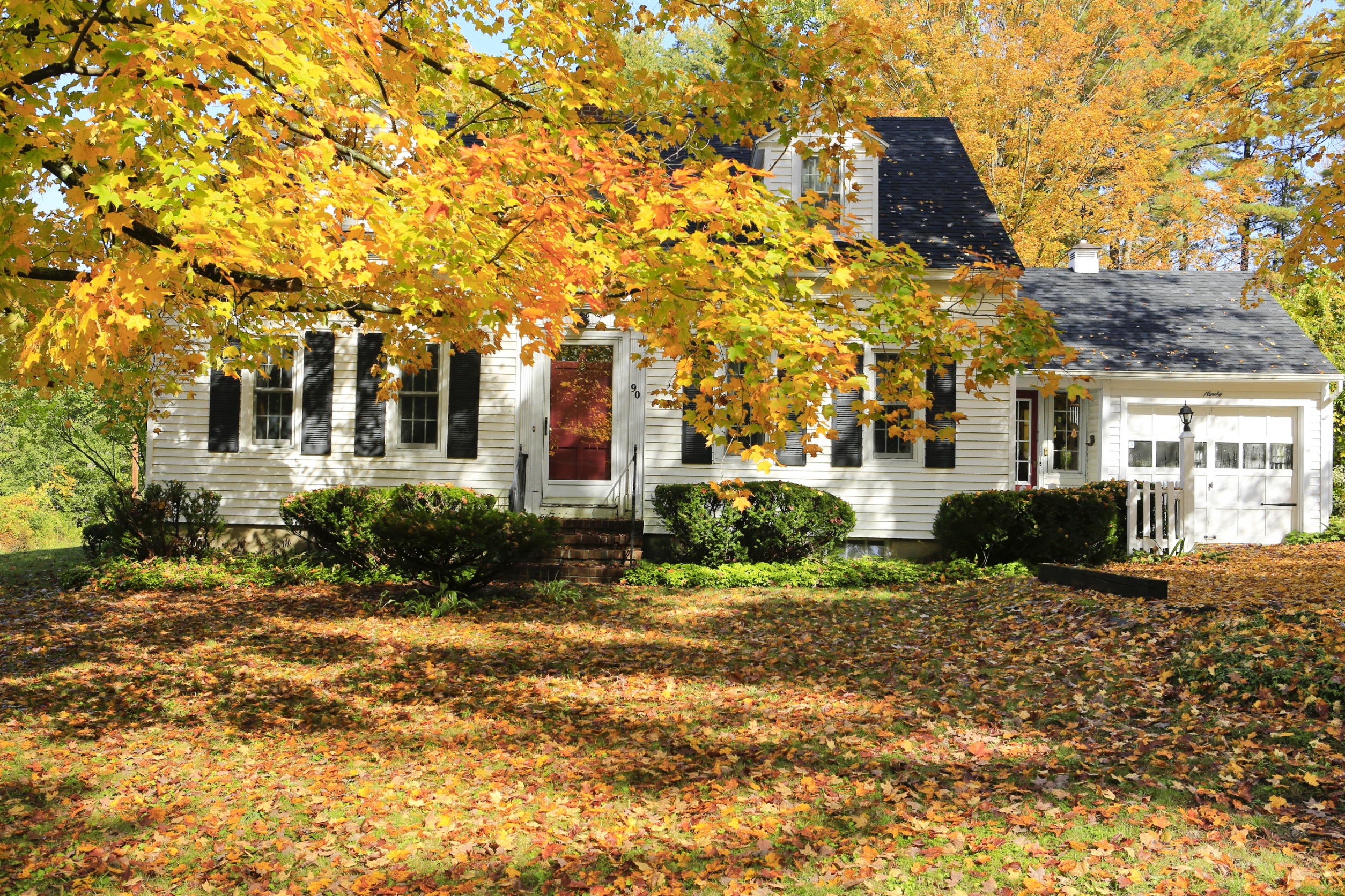 Fall Roof Replacement in Virginia